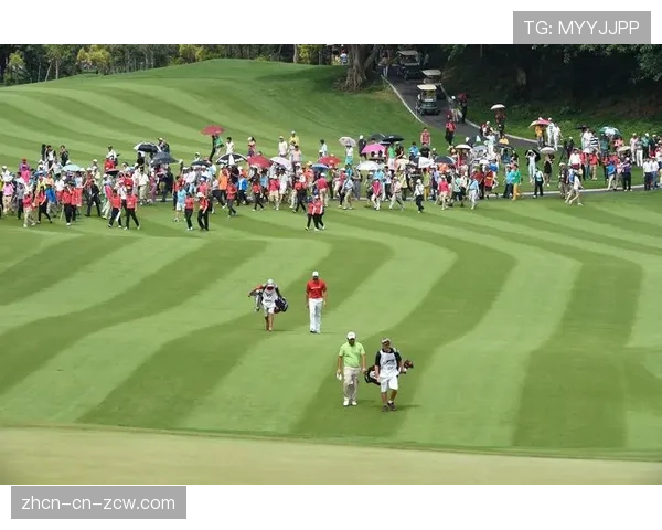 观点：世界积分系统改革后，女子高尔夫赛事竞争格局生变